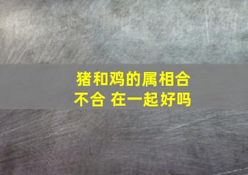 猪和鸡的属相合不合 在一起好吗